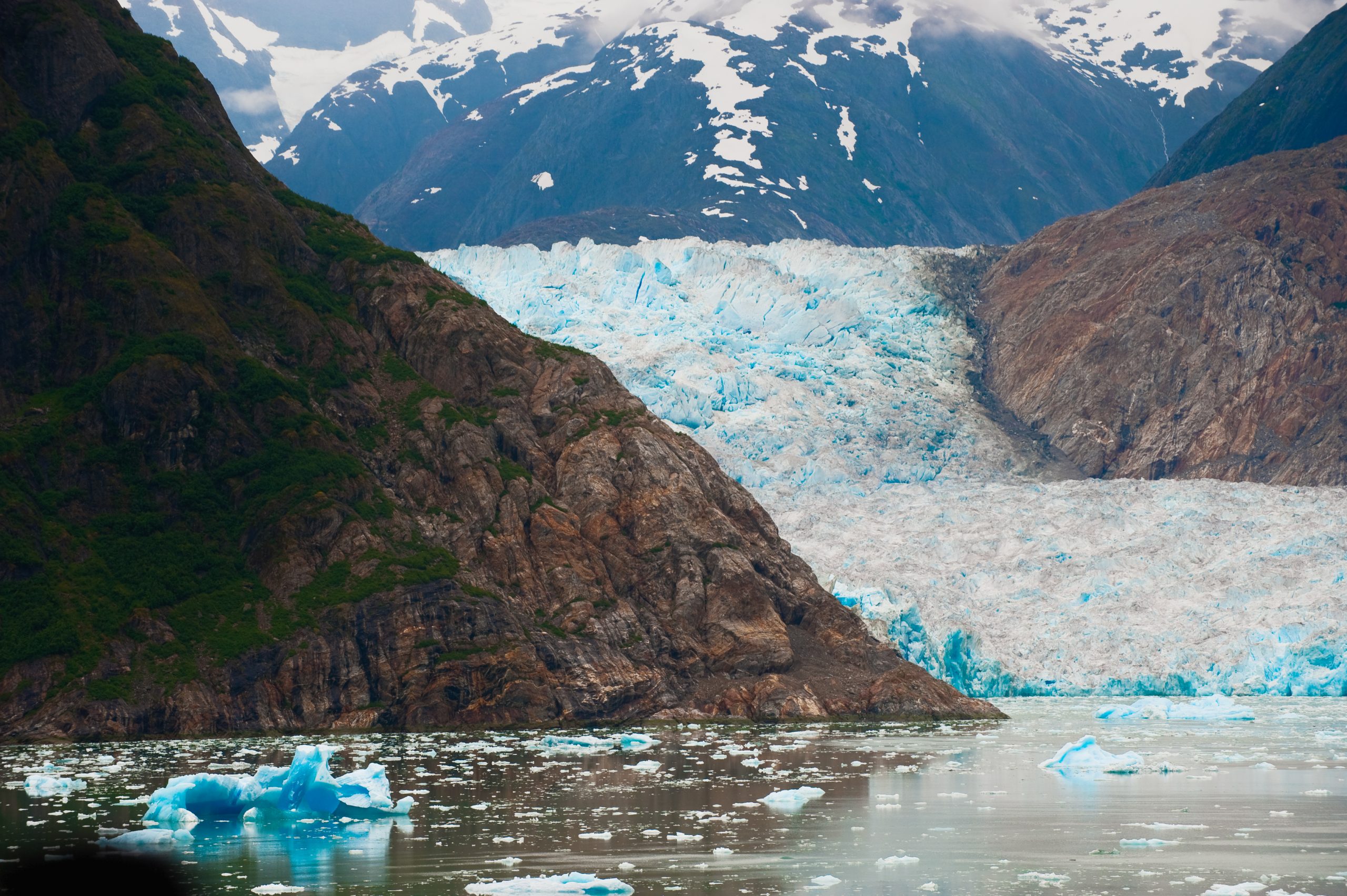 Whale Tales and Icebergs: A Journey on an Alaskan Cruise.